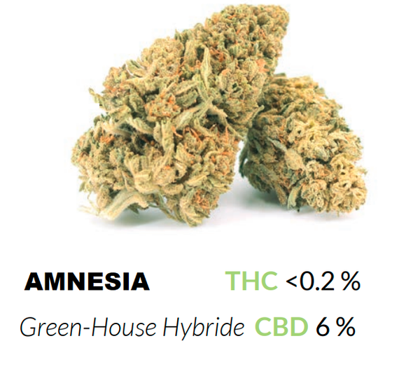 Fleur de CBD - AMNESIA - CBD  - THC < 0,2%