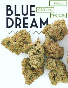 Fleur de CBD - BLUEDREAM - CBD 14% - THC < 0,3%