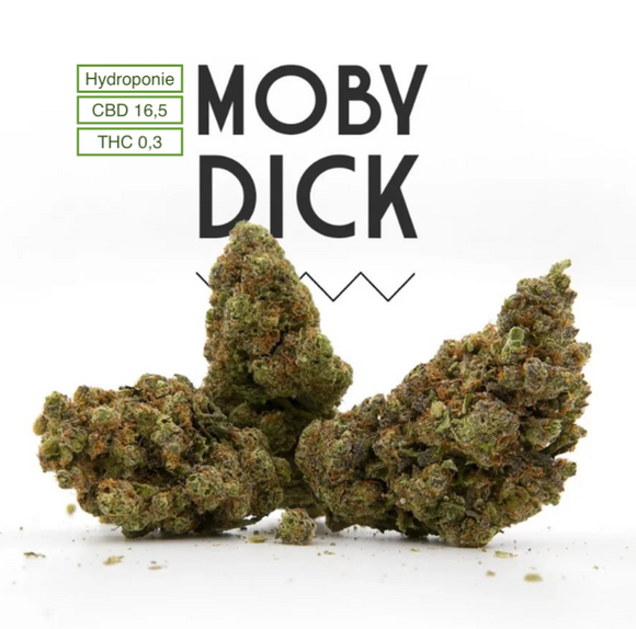 Fleur de CBD - CHEESE - CBD - THC boutique cbd cambrai warrencbdshop Fleur de CBD - CHEESE - CBD - THC boutique cbd cambrai warrencbdshop