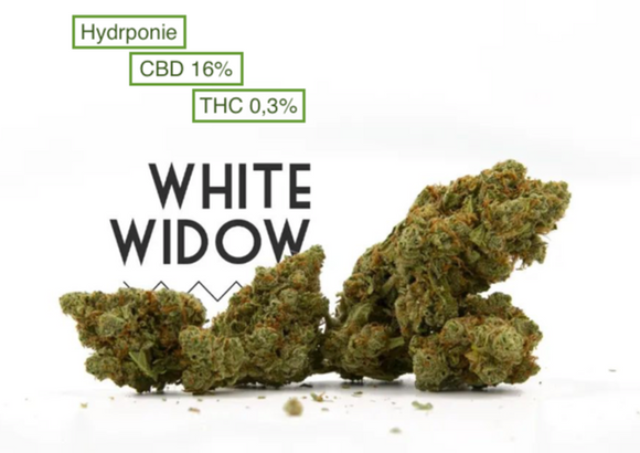 Fleur de CBD - WHITE WIDOW PRENIUM- CBD 16%  - THC < 0,3%