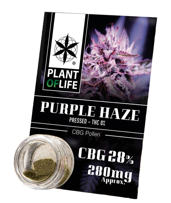 Pollen 28% CBG Purple Haze 1G Pressed